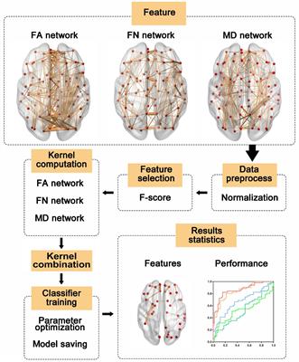 Combined Support Vector Machine Classifier and Brain Structural Network Features for the Individual Classification of Amnestic Mild Cognitive Impairment and Subjective Cognitive Decline Patients